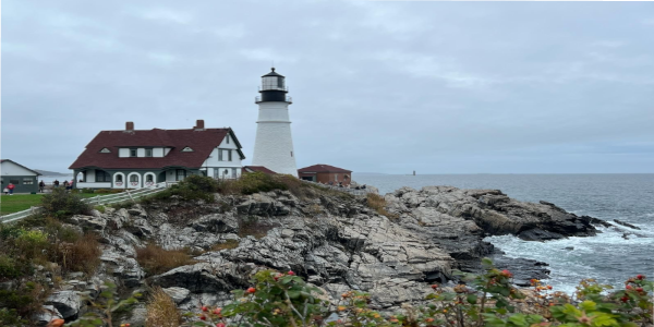 Fall Cruises